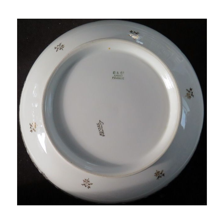Saladier en porcelaine de Limoges de diamètre 26,5 cm  hauteur 9 cm