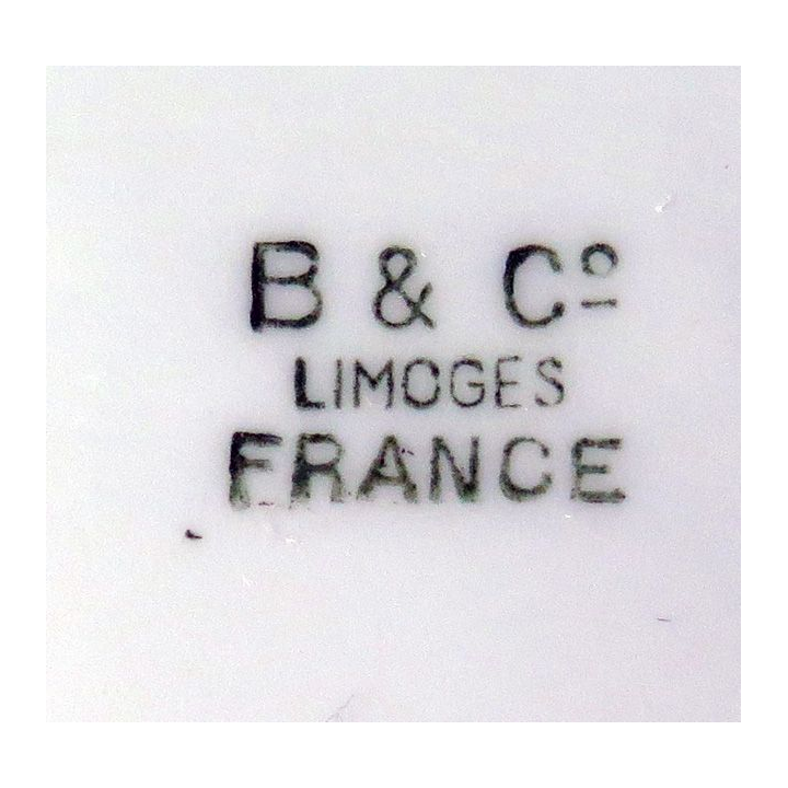 Saladier en porcelaine de Limoges de diamètre 26,5 cm  hauteur 9 cm