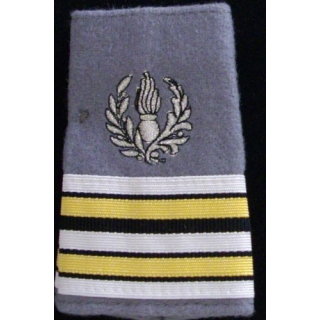 FOURREAU COMMISSARIAT : Fourreau de lieutenant-colonel du commissariat sur fond gris