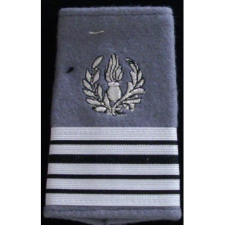 FOURREAU COMMISSARIAT : Fourreau de colonel du commissariat sur fond gris
