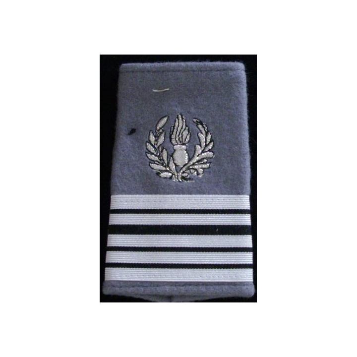 FOURREAU COMMISSARIAT : Fourreau de colonel du commissariat sur fond gris