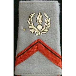 Fourreau de soldat de 1° classe engagé du commissariat sur fond gris clair