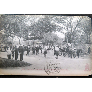 Carte postale de Hanoï une allée du jardin botanique le dimanche 1918