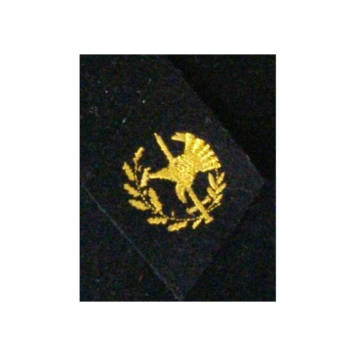 LOSANGE DE BRAS MODÈLE 45 : OFFICIERS DU CORPS DES EXPERTS