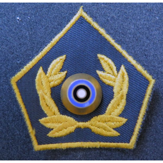 Insigne tissu de l'administration pénitentiaire d'Estonie centre en métal