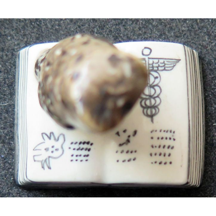 Chouette sur livre santé en céramique 3,5 cm de hauteur