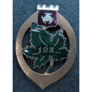 123° RI : Insigne métallique du 123° régiment d'infanterie sans nom du fabricant dos lisse en émail