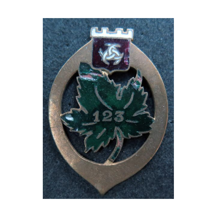 123° RI : Insigne métallique du 123° régiment d'infanterie sans nom du fabricant dos lisse en émail