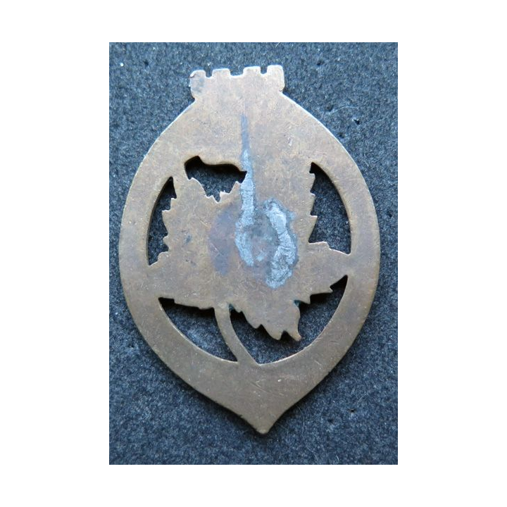 123° RI : Insigne métallique du 123° régiment d'infanterie sans nom du fabricant dos lisse en émail