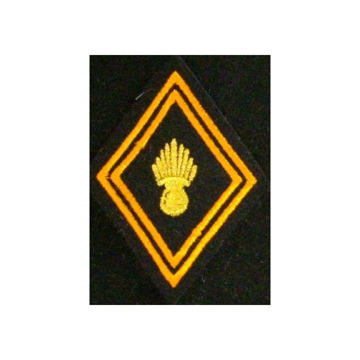 LOSANGE DE BRAS MODÈLE 45 : RÉGIMENT CHASSEURS PARA CADRE