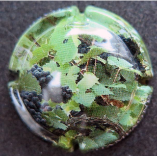 Capsule Muselet de bouteille de Champagne  GENERIQUE n°1226 les vignes 1/3