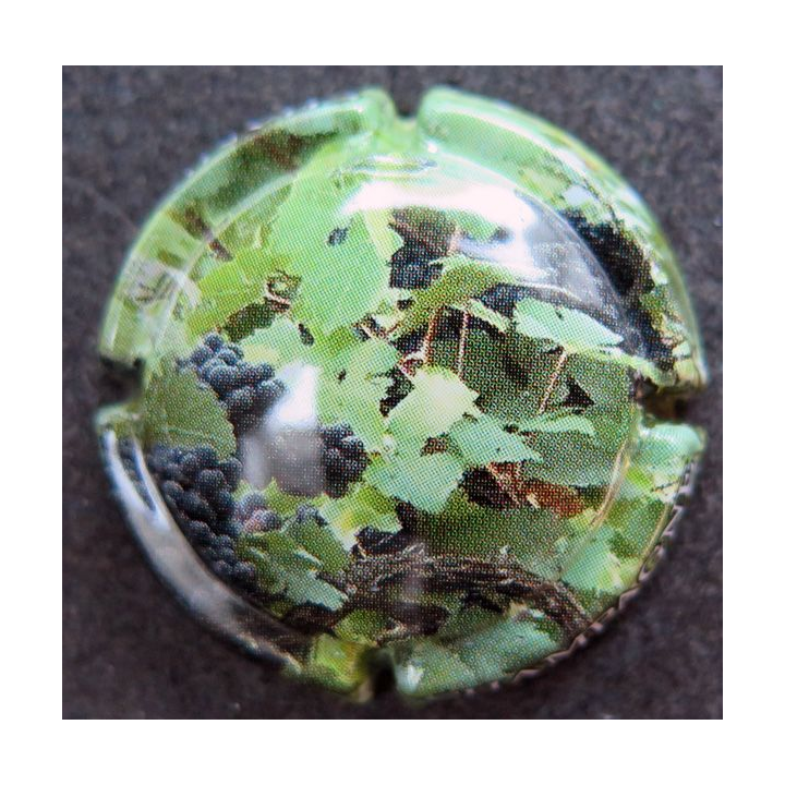 Capsule Muselet de bouteille de Champagne  GENERIQUE n°1226 les vignes 1/3
