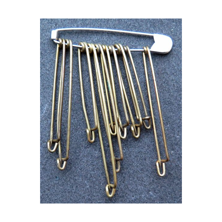 MILITARIA : lot de 10 épingles en laiton de dimensions variées Grandes tailles