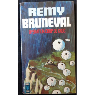 Opération coup de croc (Opération Biting) de Remy Bruneval aux éditions Presse Pocket