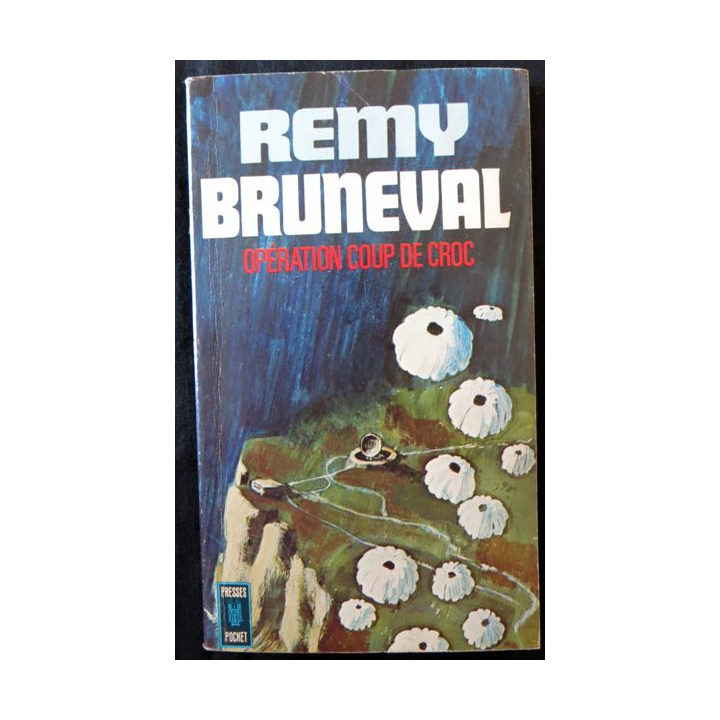Opération coup de croc (Opération Biting) de Remy Bruneval aux éditions Presse Pocket