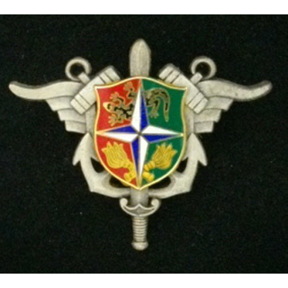 ESSENCES : insigne du service des essences à l'implementation force (IFOR) de fabrication JMM H. 789
