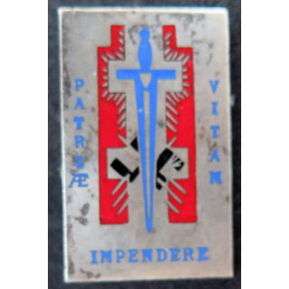 TOA : Insigne métallique des Troupes d'occupation en Allemagne "Patriae Impendere Vitam" en émail n° 2688