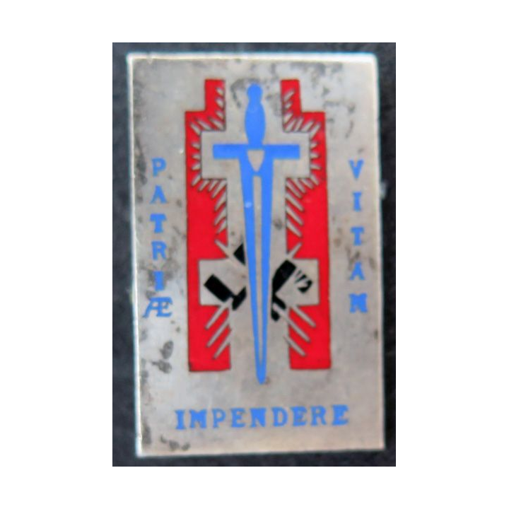 TOA : Insigne métallique des Troupes d'occupation en Allemagne "Patriae Impendere Vitam" en émail n° 2688