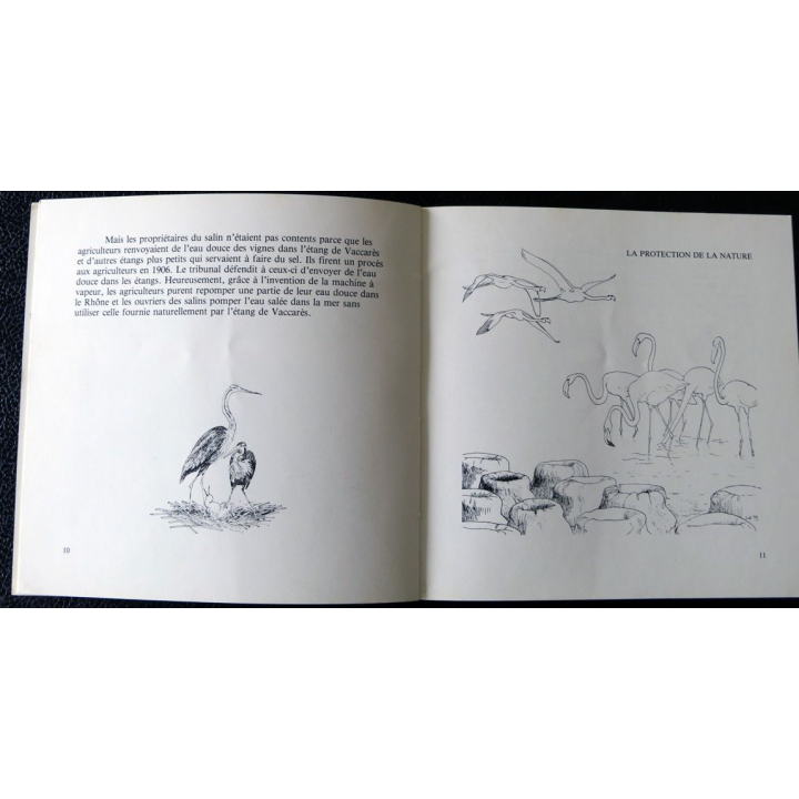 La Camargue racontée aux enfants de Bernard, Philippe et Dorothée Picon Editions Alain Barthélémy Avignon (1979)