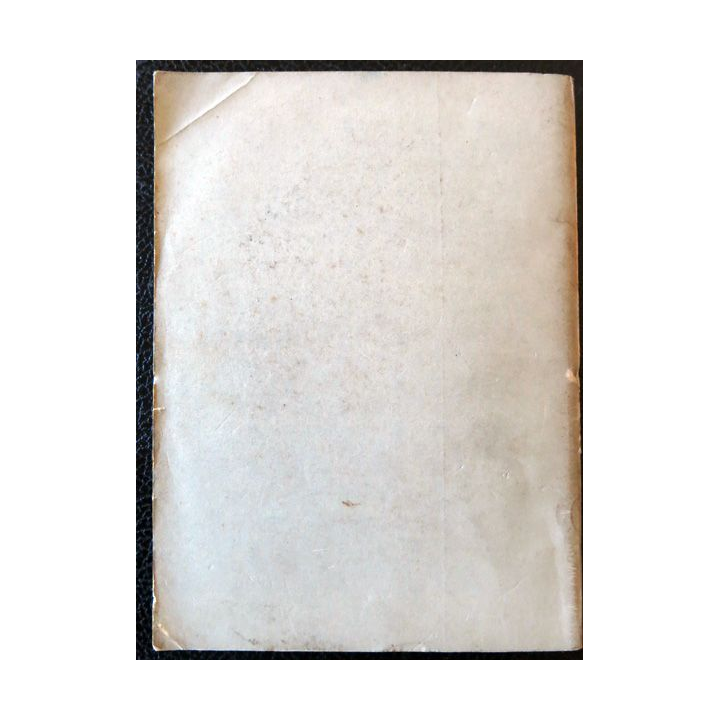 Les Waffen SS au combat (1944-1945) de Lothar Van Greelen Editions France-Empire