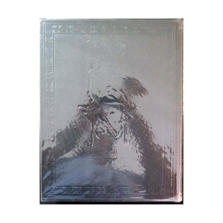 2 Tomes de la Grande Guerre vécue - racontée - illustrée par les Combattants 1914-1918