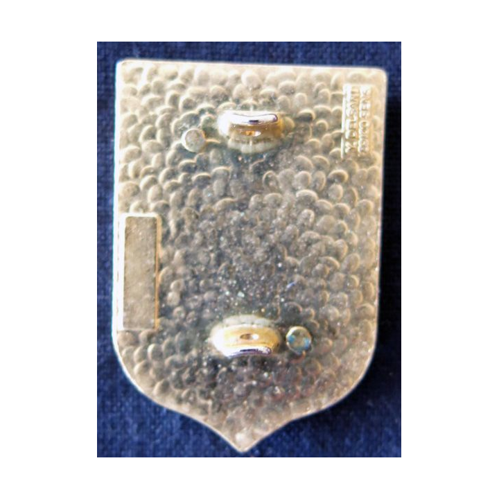 CRS 57 : insigne de la compagnie républicaine de sécurité n° 57 de Carcassonne, fabrication Delsart Sens