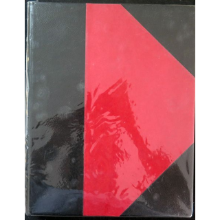 Histoire de l'armée française du Général Weygand aux éditions Flammarion 1938