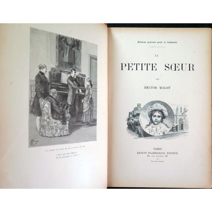 La petite soeur par hector Malot 