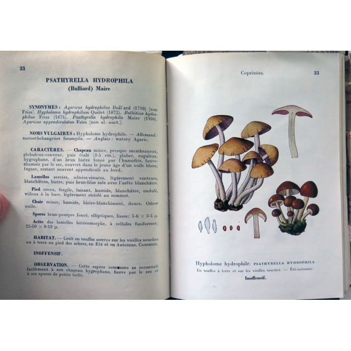 Champignons de France Tome 1 et 2 de A. Maublanc et G. Viennot Bourgin 1959