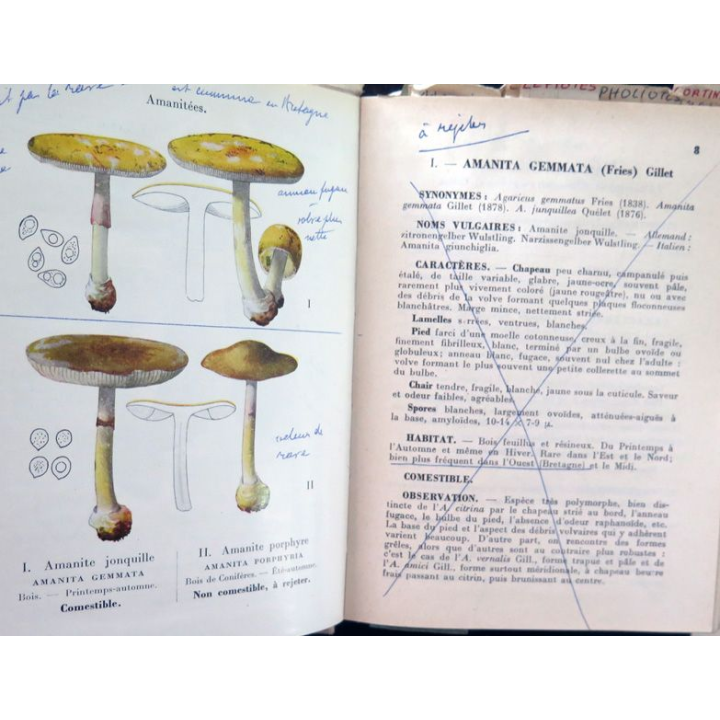 Champignons de France Tome 1 et 2 de A. Maublanc et G. Viennot Bourgin 1959