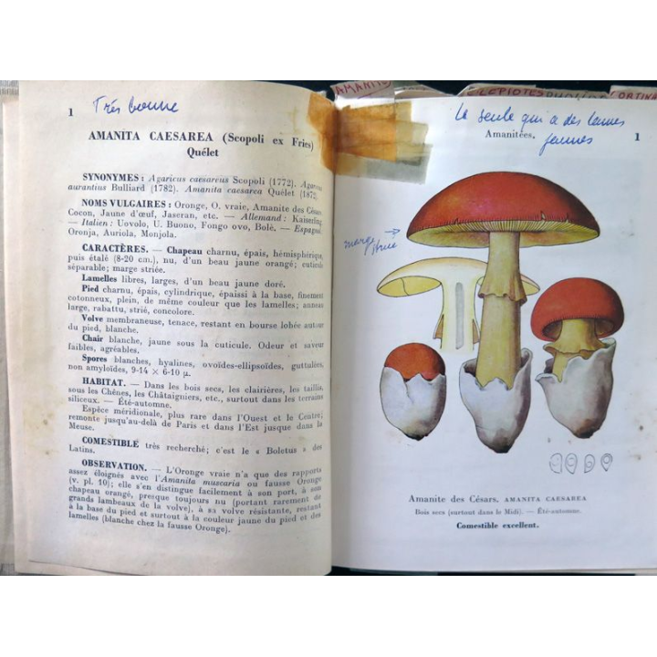 Champignons de France Tome 1 et 2 de A. Maublanc et G. Viennot Bourgin 1959