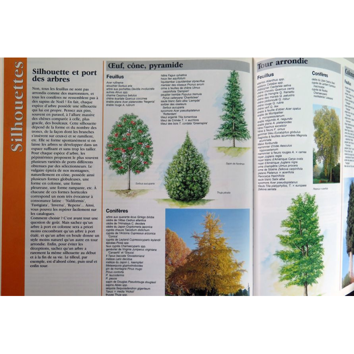 1001 trucs et astuces pour le jardin 1995