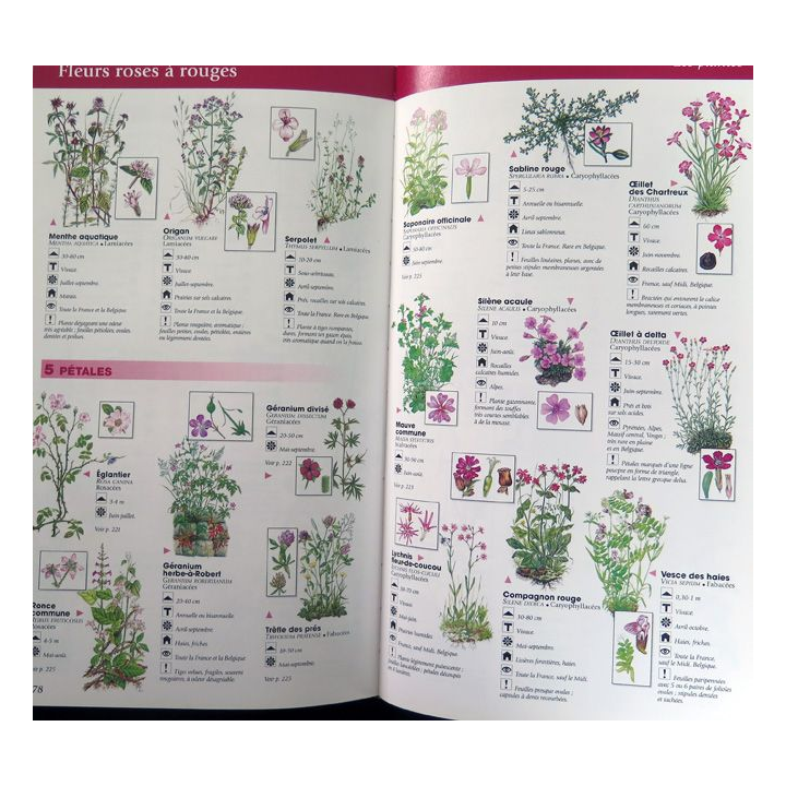 La Nature en France Guide pratique pour tout reconnaitre en un clin d'oeil