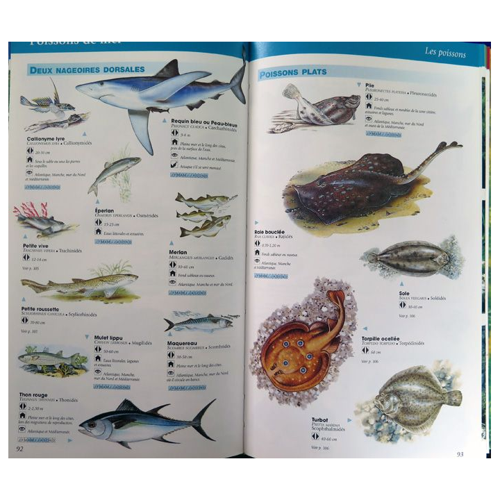 La Nature en France Guide pratique pour tout reconnaitre en un clin d'oeil