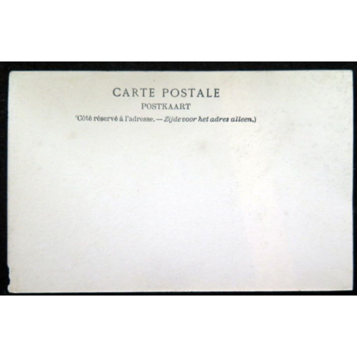 Carte postale 60 Bruges Le Minnewater (Lac d'Amour)