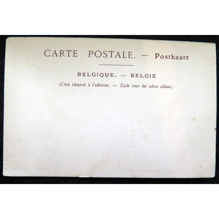 Carte postale 25 Bruges Maisons de la Grande-Place