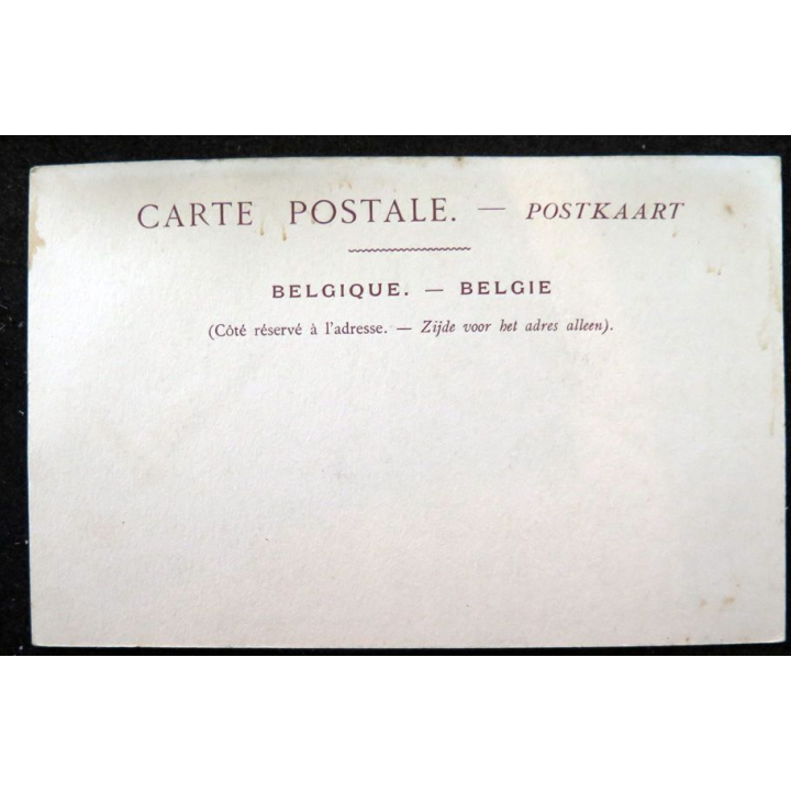 Carte postale 12 Bruges La Maison du Franc