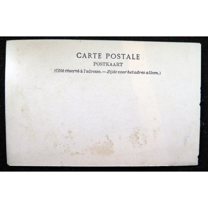 Carte postale 16 Bruges Statue Breydel et de Coninck