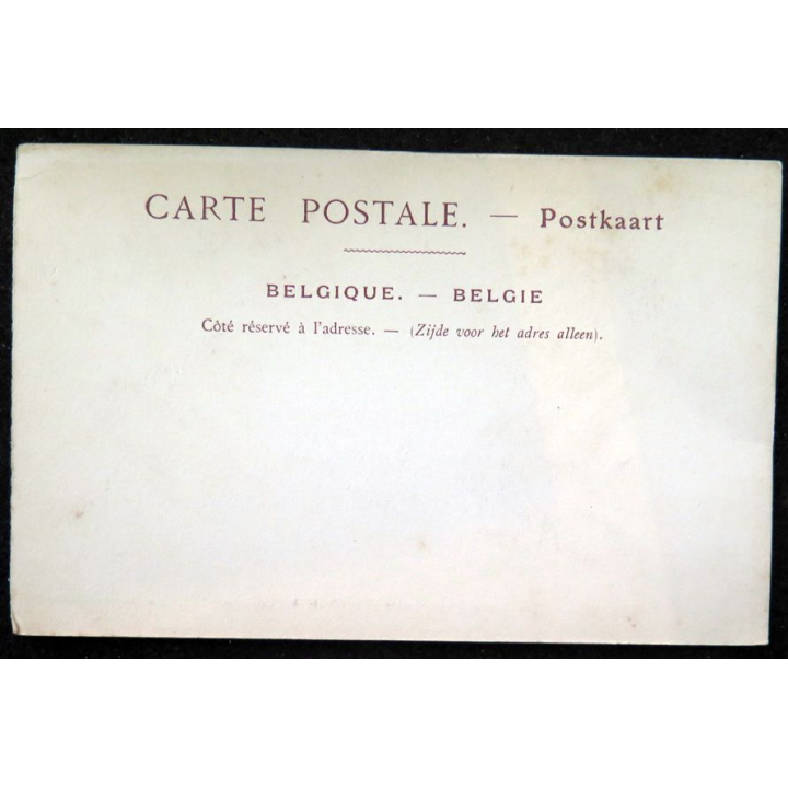 Carte postale 66 Bruges Eglise Notre Dame, Tombeau De Charles Le Téméraire