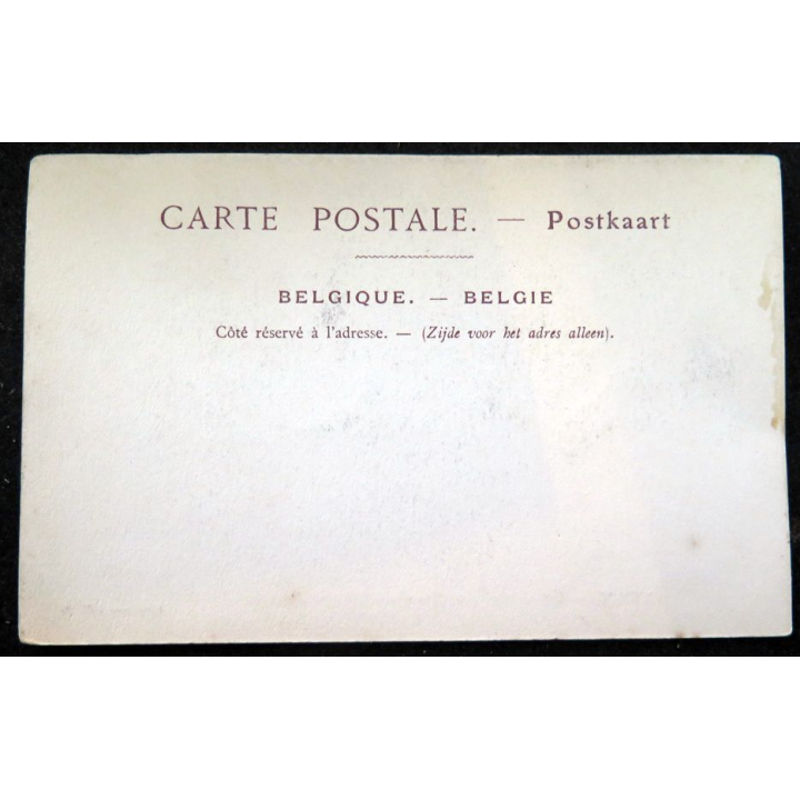 Carte postale 67 Bruges Eglise Notre Dame, Tombeau de Marie de Bourgogne
