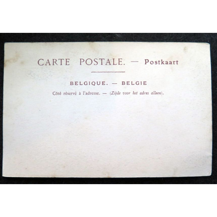 Carte postale 10 Bruxelles La Chaire de la Cathédrale