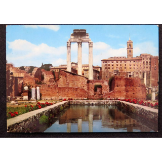 Carte postale 216 Roma Forum Romain Petit lac dans la maison des Vestales
