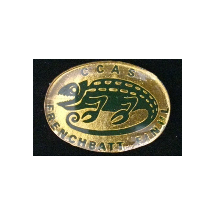 420° DSL : CCAS FRENCHBATT