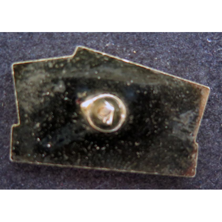 Pin's TACOTAC