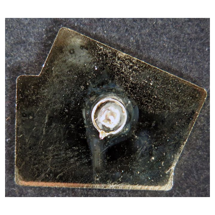 Pin's LOTO