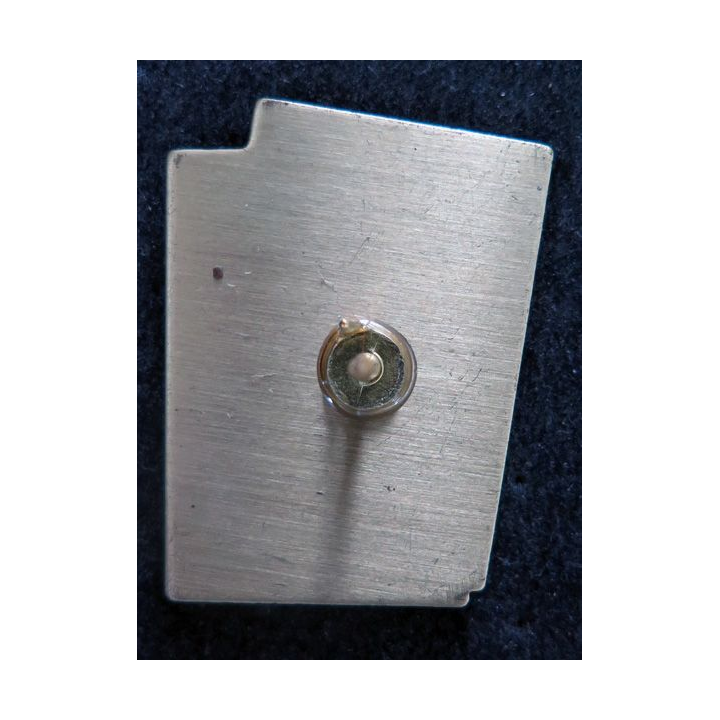 Pin's LOTO