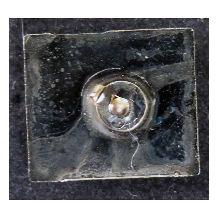 Pin's MCR