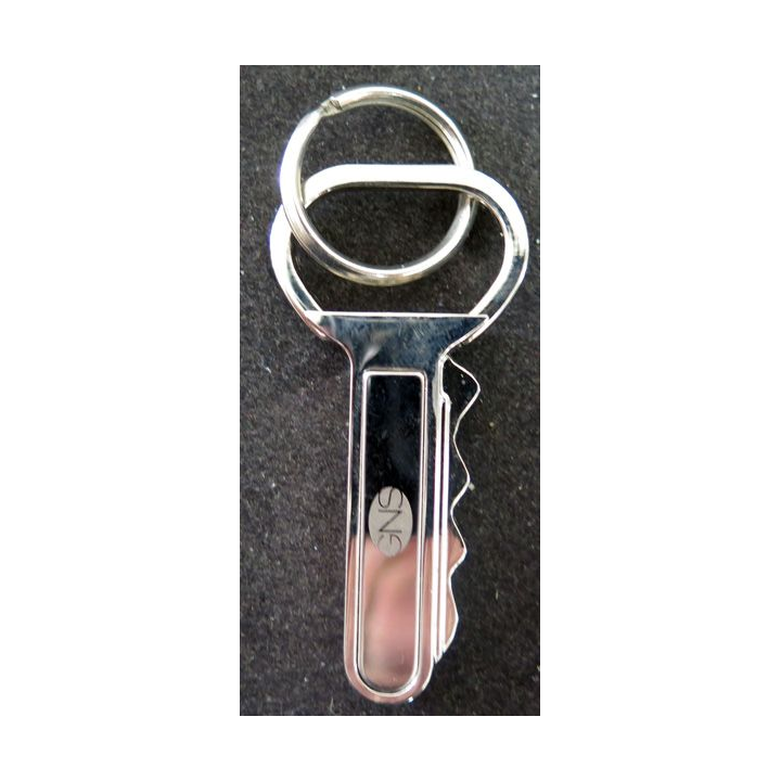 Porte clef avec une clef GNS