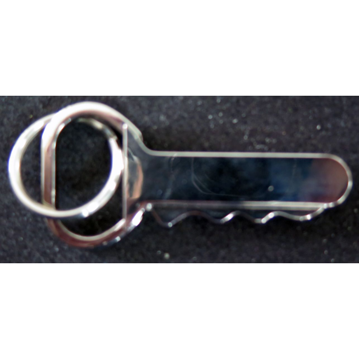 Porte clef avec une clef GNS