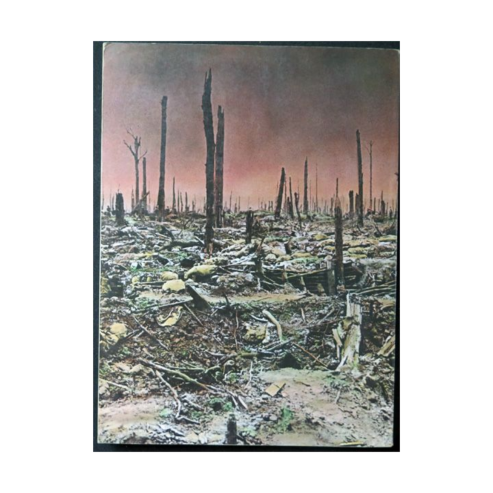 La grande guerre 1914-1918 de David Shermer